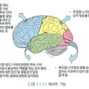 전두측두엽 치매~~~ 이미지