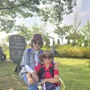 코스모스여화 이미지