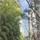 권선자이114공인중개사사무소 이미지