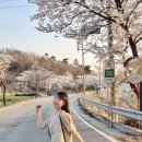 노동3리 이미지