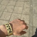냥냥펀치 - 고양시 일산동구 | 냥냥펀치캣쇼 이용후기, 고양이 덕후 방문필수!