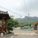 칠곡 노석리 마애불상군 이미지
