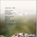 산딸나무 헛꽃 /서해성 이미지