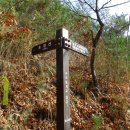 慶北 淸道 옹강산(翁江山,832m)을 다녀왔어요. 이미지