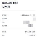 칠리노고양