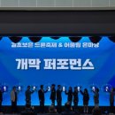 꿈의 비행 이미지