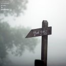 새벽목장 이미지