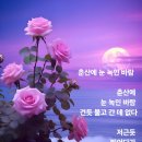춘산 이미지