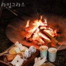 카페라임 이미지