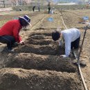 친환경농장 이미지