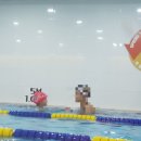 키즈웨일 수영장 이미지