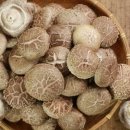 새롬기사식당 이미지