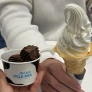 10월 주간일기 - 5