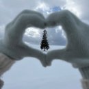 스테이스톤 | 삿포로 겨울여행 준비 :: 호텔 마이스테이스 삿포로 스테이션