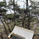 청계산로B 이미지