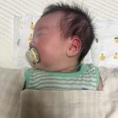 머미쿨쿨 사용후기 : 잠투정, 등센서 심한 아기에겐 머미쿨쿨 !