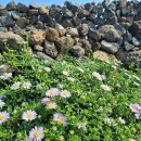 우도면복지회관 이미지