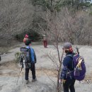 영암실내체육관 이미지