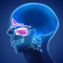 코숨한의원 이미지