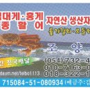 조양수산 네이버블로그
