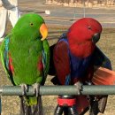 홍이카모터스 | 대구중고차 상사 엠월드, 중고 전기차 아이오닉5 프로 레이싱 선수 고객님에게 구입 열흘 만에 판매한 후기