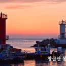 기본 의학용어 사전 A~W 이미지