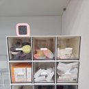 새천안교통 | 천안 두정동 낭게코 방문 후기 파충류 덕후라면 무조건 좋아할 곳