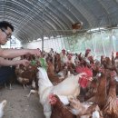 아부지농장 이미지