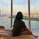 힐스템 힐링센타(우산점) | 서울 비스타 워커힐 디럭스 트윈룸 오션뷰 후기 | 조식(더뷔페), 헬스장, 카페, 피자힐 , 루프탑스파...