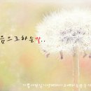 기쁨사 이미지