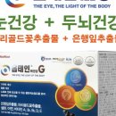 (주)테라진코리아 네이버블로그
