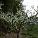 봉수농장 이미지