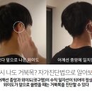 거북이한의원 이미지
