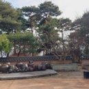 로즈 떡볶이 이미지