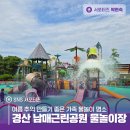 경산시 남매근린공원 | 여름 추억 만들기 좋은 가족 물놀이 명소 경산 남매근린공원 물놀이장