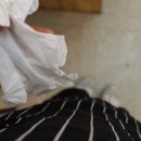 (주)강선팜 | 일산 천연 비누 공방 숨스튜디오 원데이클래스 -천연CP마블비누