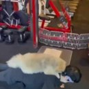 슈퍼스타S 휘트니스 이미지