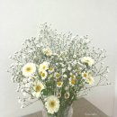 스튜디오촬영 :: 들꽃안개꽃 부케 준비 @ 양재 꽃시장 오이화원