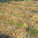 골말농장 이미지