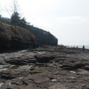 반도스파인 이미지