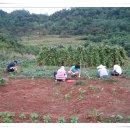 갈릴리농장 이미지