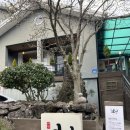 유수암 아늑 | 유수암맛집 애월연어본점 불땡이초밥 용암초밥 후기