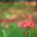 영광상사 이미지