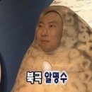 취주선 | 여름 지나가고 가을 당장 와