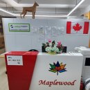 서울동교초등학교 이미지