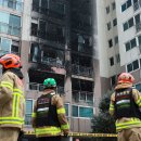 도봉-도봉-서울도봉-2001 이미지