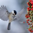 명암약수터 이미지