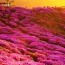 지리산동물병원 이미지