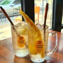 청춘연어 이미지