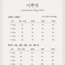 이뿌개 네이버블로그